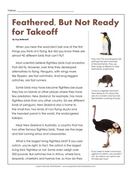 Birds - Flightless Birds (Printable PDF Worksheet)