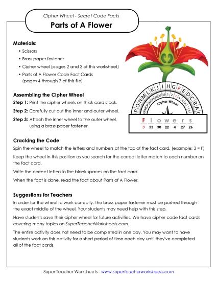 Flower Parts (Printable PDF Worksheet)