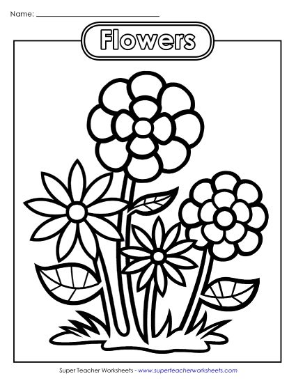 Basic Pictures (For Younger Students) - Flowers (Printable PDF Worksheet)