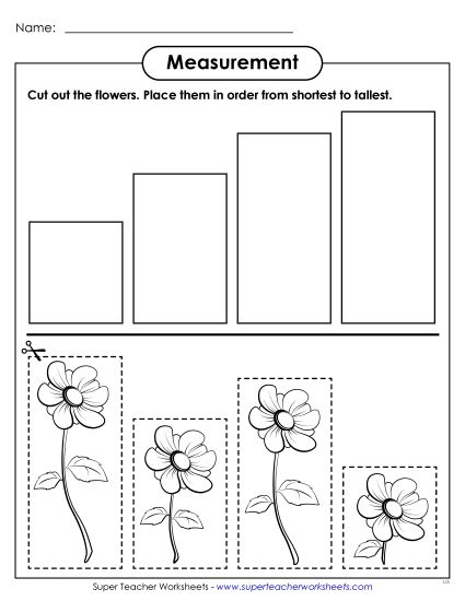 Longer and Shorter - Flowers: Shortest to Tallest (Printable PDF Worksheet)