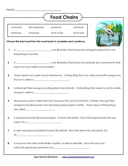 Food Chain Worksheets - Food Chain: Fill-in-the-Blanks  (Printable PDF Worksheet)