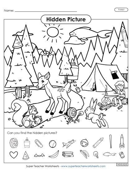 Hidden Pictures - Forest (Printable PDF Worksheet)