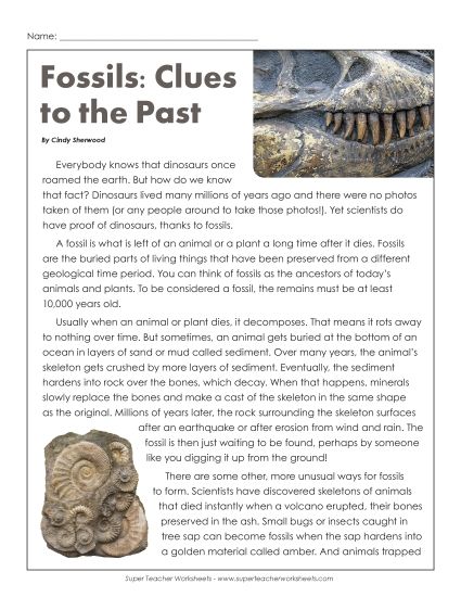 Rocks and Minerals - Fossils: Clues to the Past (Printable PDF Worksheet)
