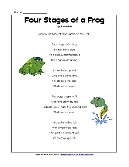 Songs - Four Stages of a Frog Song (Printable PDF Worksheet)