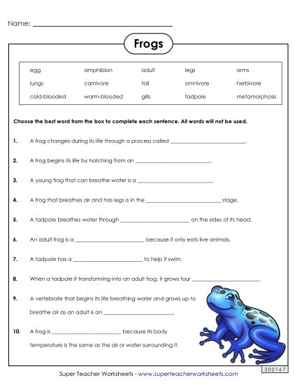 Worksheets - Frog Life Cycle Questions (Printable PDF Worksheet)