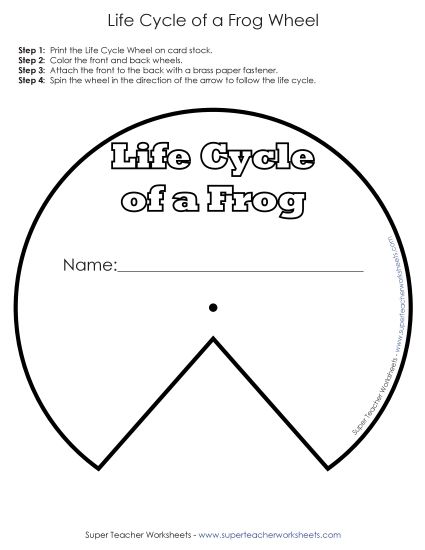 Activities - Frog Life Cycle Wheel (Printable PDF Worksheet)