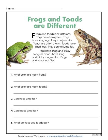Animal Articles - Frogs and Toads Are Different (Short Article) (Printable PDF Worksheet)