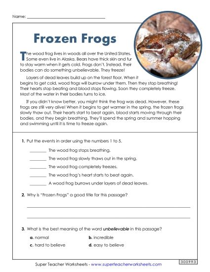 Animals - Frozen Frogs (Printable PDF Worksheet)
