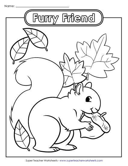 Advanced Pictures (For Older Students) - Furry Friend Activity (Printable PDF Worksheet)