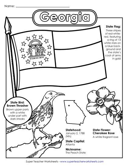 Symbols - Georgia State Symbols Coloring Page (Printable PDF Worksheet)