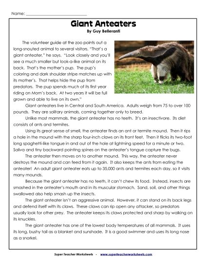 Mammals - Giant Anteaters (Printable PDF Worksheet)