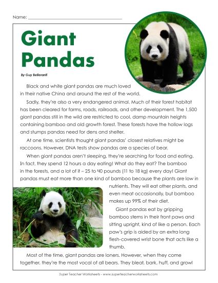 Mammals - Giant Pandas Article (Printable PDF Worksheet)