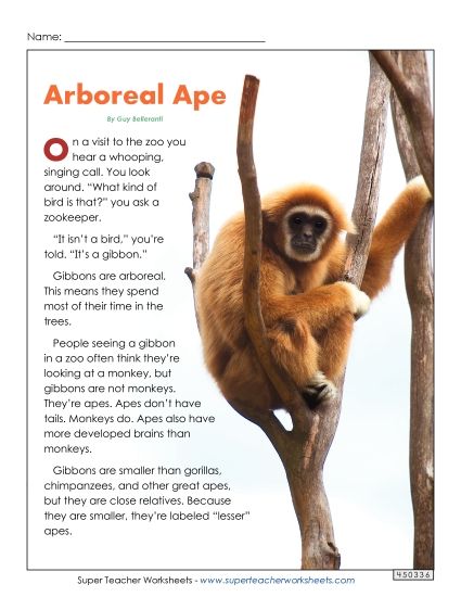 Mammals - Gibbons (Printable PDF Worksheet)
