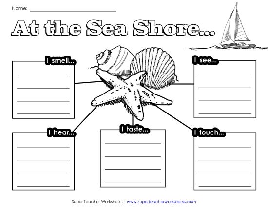 Graphic Organizer - Graphic Organizer: Seashore (Printable PDF Worksheet)