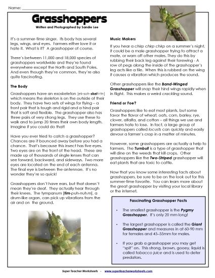 Articles with Questions - Grasshopper Article (Printable PDF Worksheet)