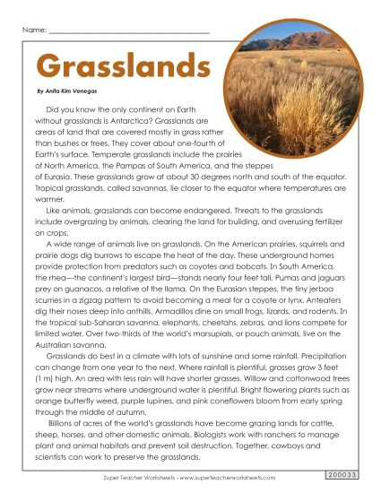 Nonfiction - Grasslands (Printable PDF Worksheet)