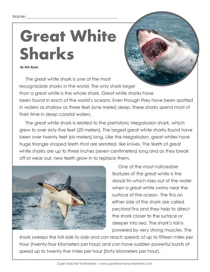Fish - Great White Sharks Passage (Printable PDF Worksheet)