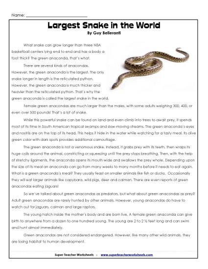 Reptiles - Green Anaconda (Printable PDF Worksheet)