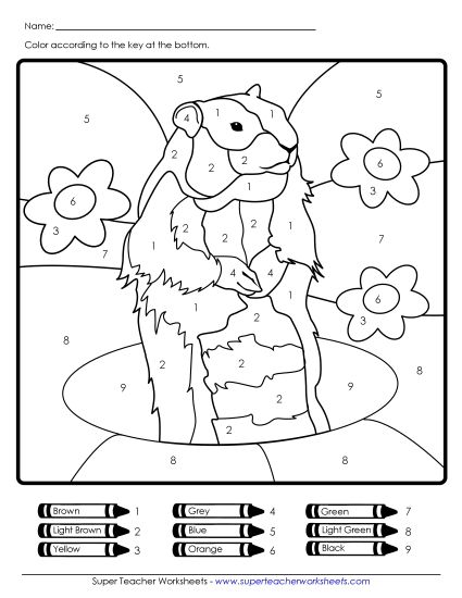 Counting and Numbers (Very Basic) - Groundhog Color-by-Number (Printable PDF Worksheet)
