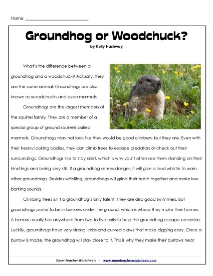 Nonfiction Articles - Groundhog or Woodchuck? (Printable PDF Worksheet)