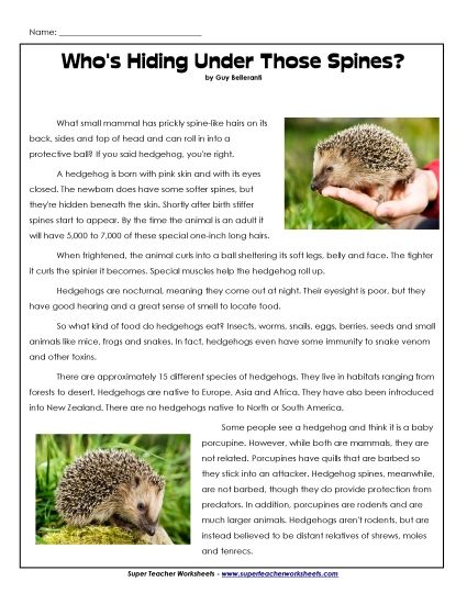 Mammals - Hedgehogs (Printable PDF Worksheet)