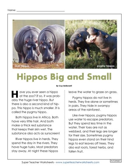 Nonfiction Articles - Hippos Big and Small (Printable PDF Worksheet)