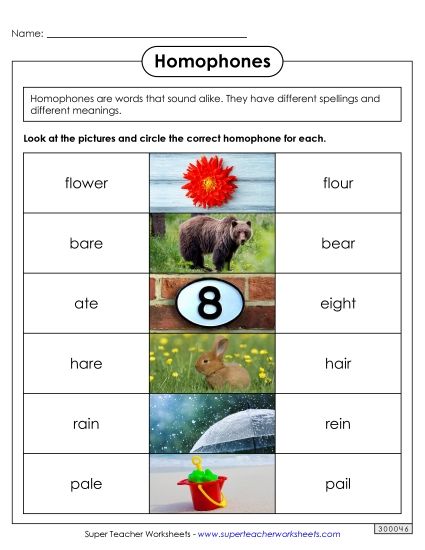 Mixed Homophones - Homophones 4 (Printable PDF Worksheet)