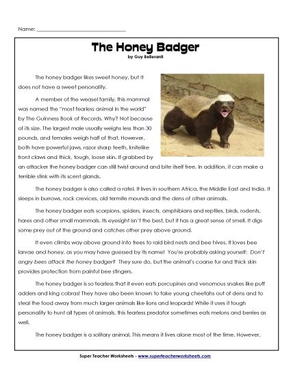 Mammals - Honey Badgers (Printable PDF Worksheet)