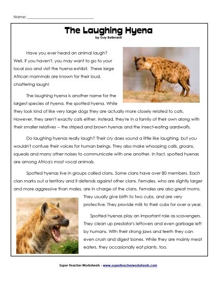 Mammals - Hyenas (Printable PDF Worksheet)