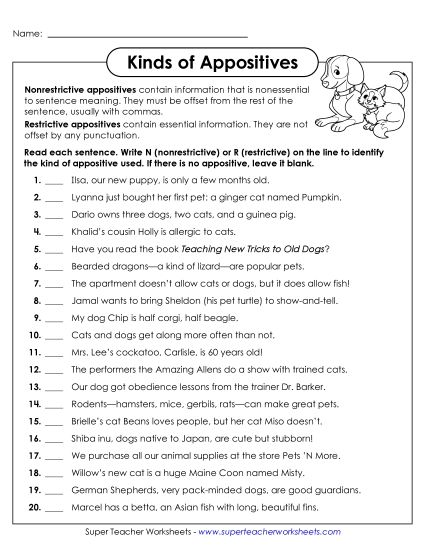 Worksheets - Identifying Kinds of Appositives (Printable PDF Worksheet)