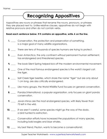 Worksheets - Identifying Sentences with Appositives (Printable PDF Worksheet)