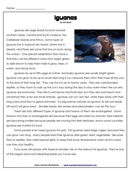 Reptiles - Iguanas (Printable PDF Worksheet)