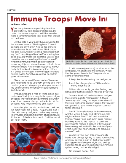 Human Body Articles - Immune System (Advanced) (Printable PDF Worksheet)