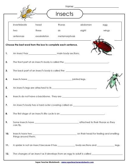 Worksheets and Activities - Insect Fill-in-the-Blanks (Printable PDF Worksheet)