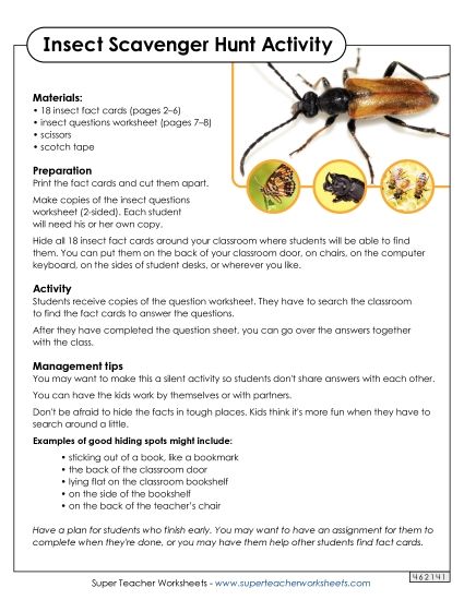 Worksheets and Activities - Insect Scavenger Hunt Activity (Printable PDF Worksheet)