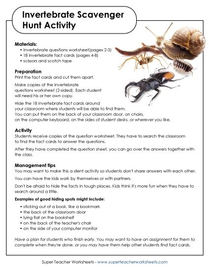 Invertebrate Scavenger Hunt (Printable PDF Worksheet)