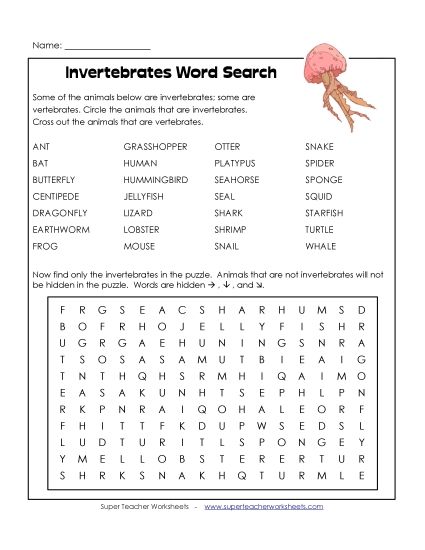 Intermediate (Grades 3-6) - Invertebrates (Printable PDF Worksheet)