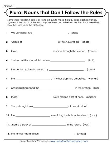 Singular & Plural Nouns - Irregular Plural Nouns (Printable PDF Worksheet)