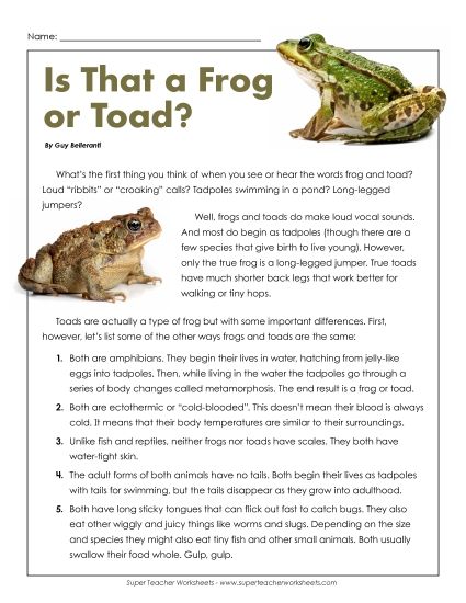 Nonfiction Articles - Is That a Frog or Toad? (Article) (Printable PDF Worksheet)