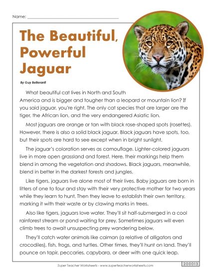 Nonfiction Articles - Jaguars (Printable PDF Worksheet)