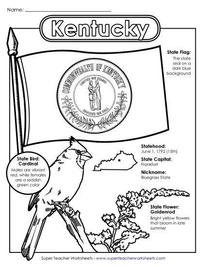 Symbols - Kentucky State Symbols Coloring Page (Printable PDF Worksheet)