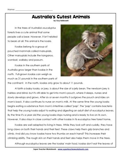 Mammals - Koalas (Printable PDF Worksheet)