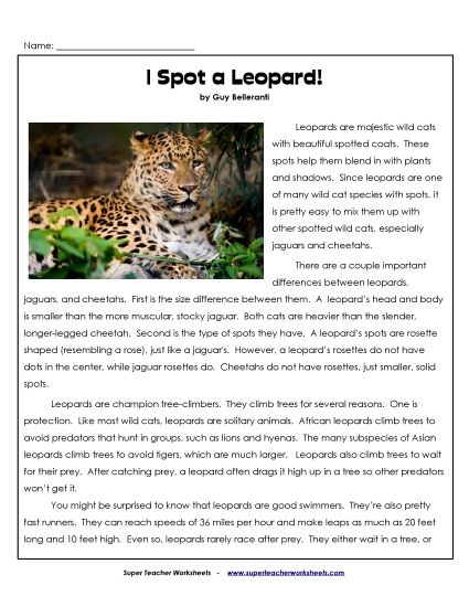 Mammals - Leopards (Printable PDF Worksheet)