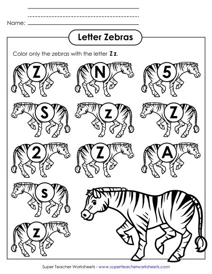 Letter Recognition - Letter Z z Recognition - Zebra (Printable PDF Worksheet)