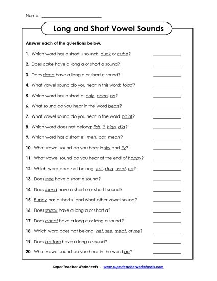 Long & Short Vowel Questions (Printable PDF Worksheet)