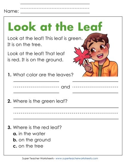 Reading Comprehension and  Additional ELA Skills - Look at the Leaf (Printable PDF Worksheet)
