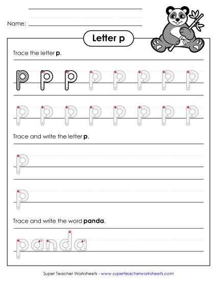Trace and Print - Lowercase p Writing Practice (Outlined Letters) (Printable PDF Worksheet)