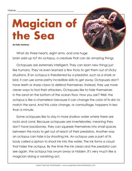 Nonfiction Articles - Magician of the Sea (Printable PDF Worksheet)
