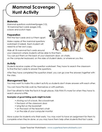 Mammal Scavenger Hunt (Printable PDF Worksheet)