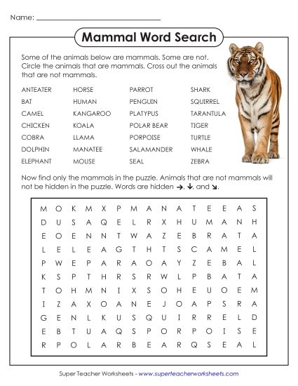 Intermediate (Grades 3-6) - Mammals (Printable PDF Worksheet)
